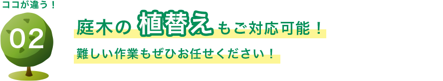 庭木の植替えもご対応可能！ 難しい作業もぜひお任せください！